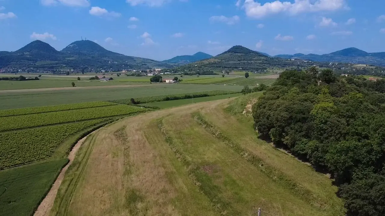 Villa Cà Barbero — foto 19