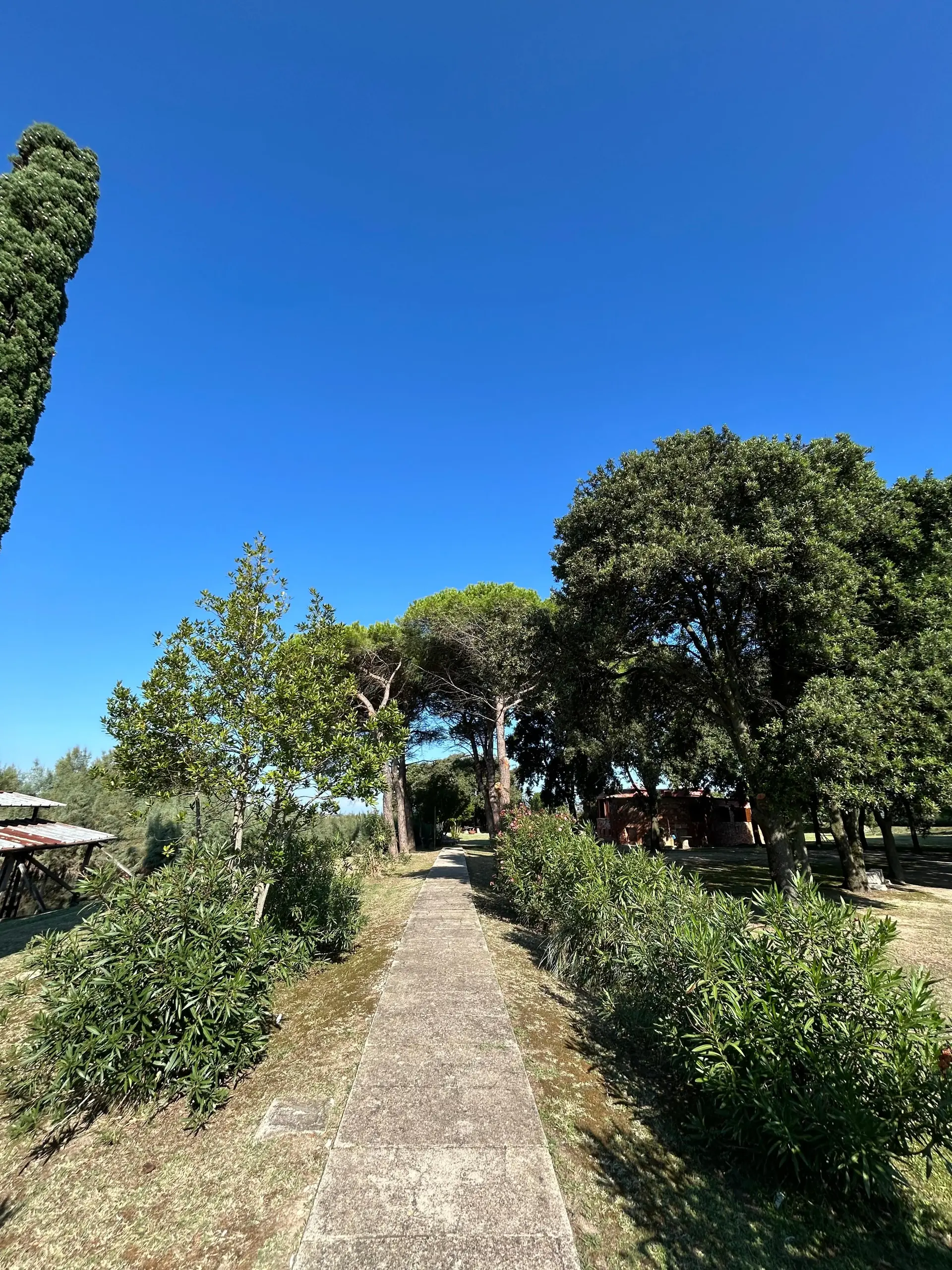 Isola di Crevan — foto 10