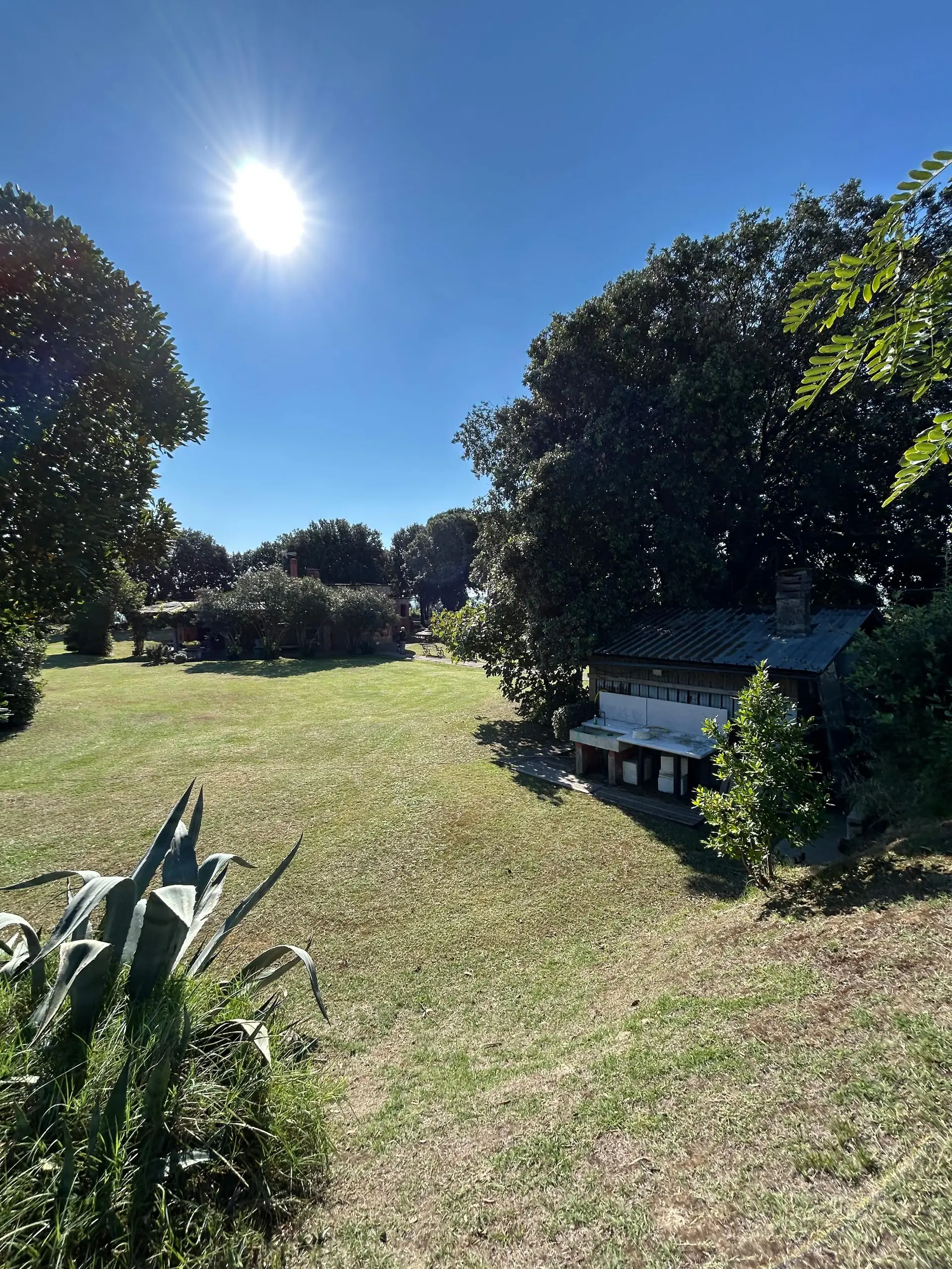 Isola di Crevan — foto 15