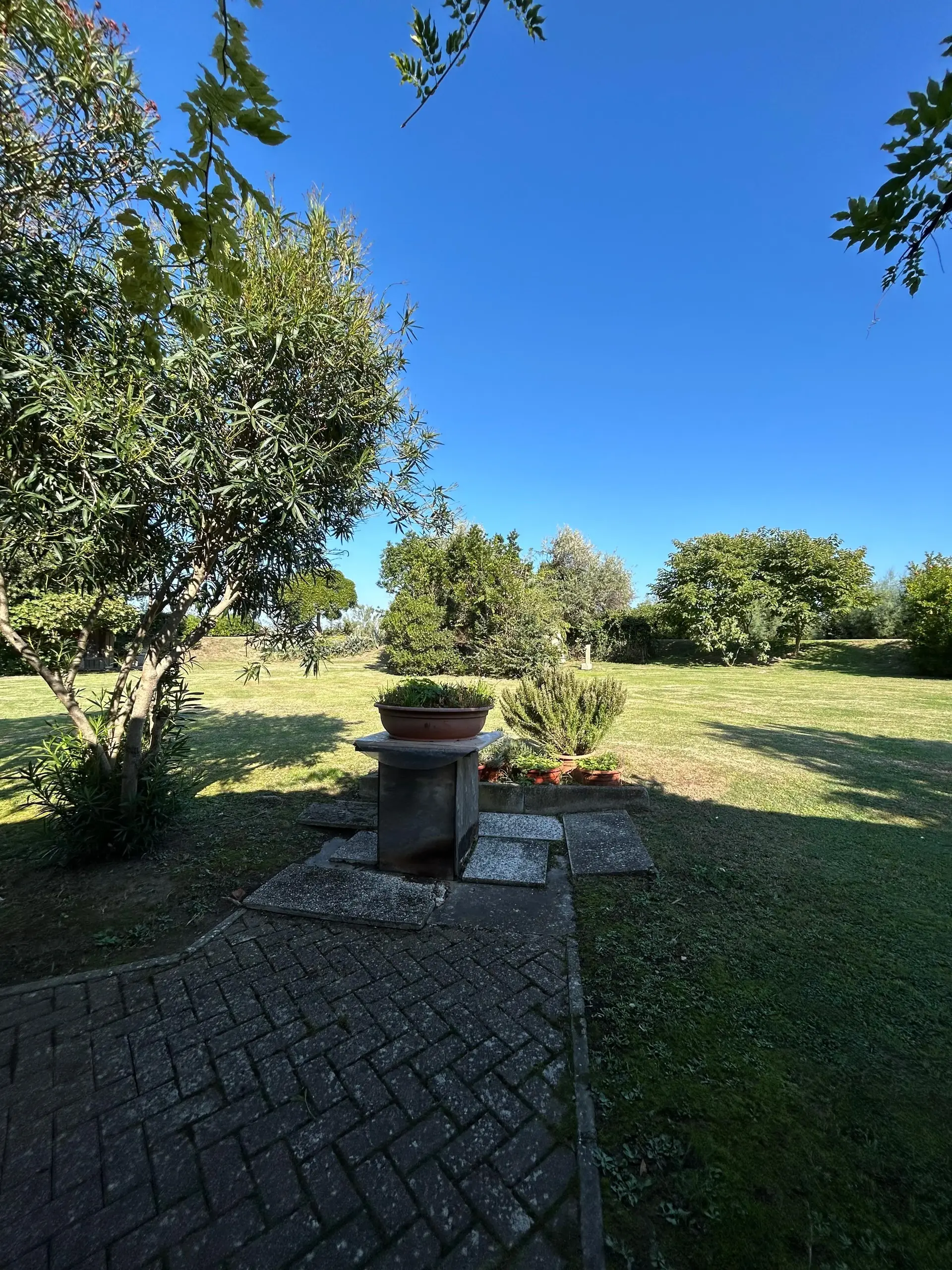 Isola di Crevan — foto 17