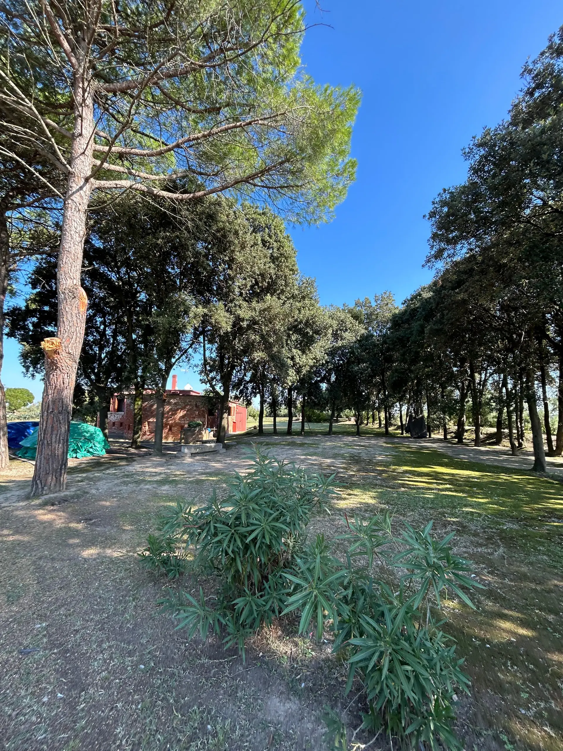 Isola di Crevan — foto 9