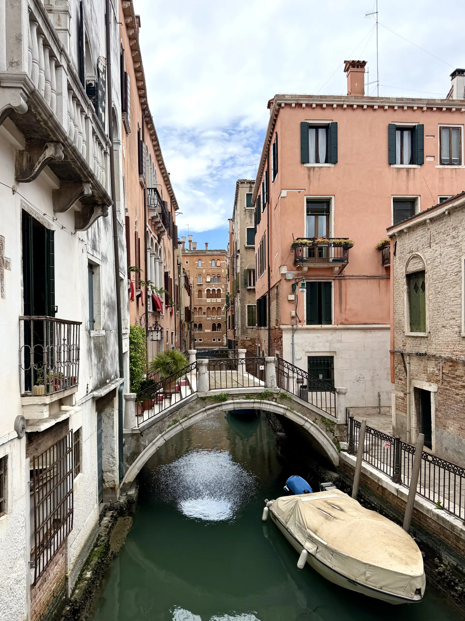 Negozio Strada Nova — foto 5